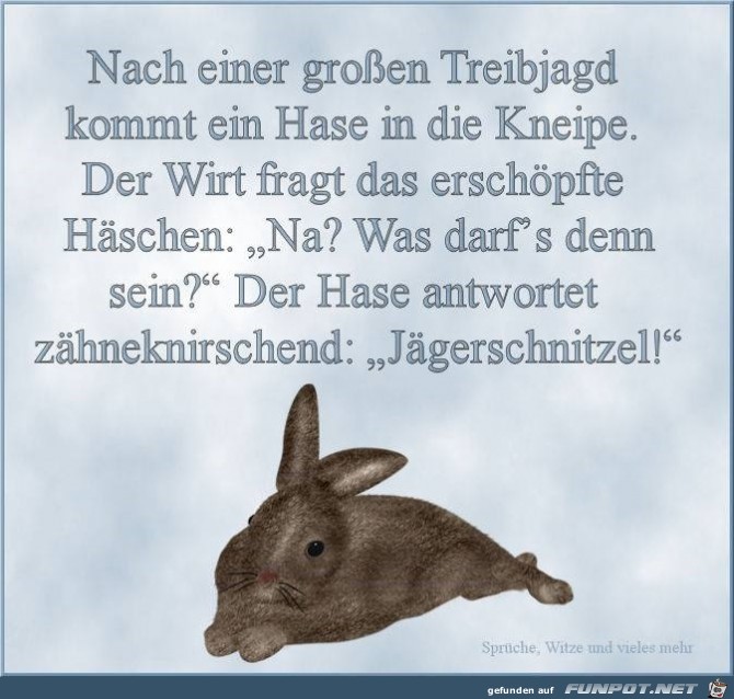 Hase Hase