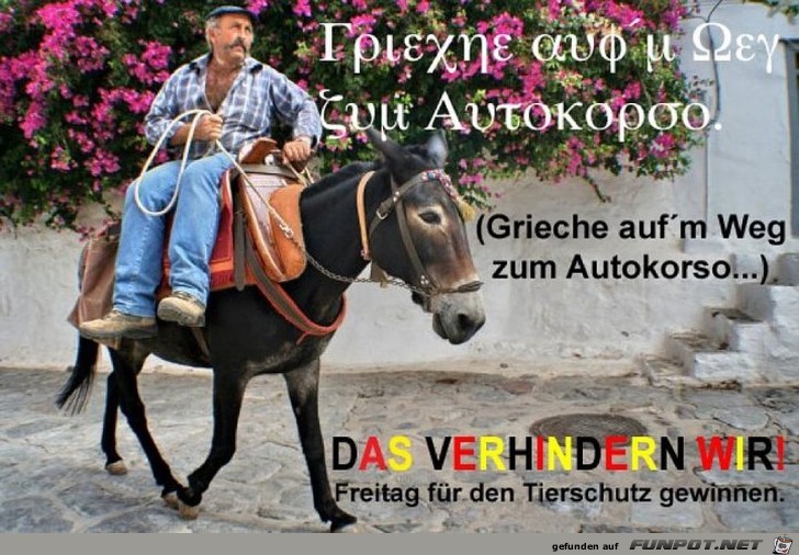 Autokorso Autokorso