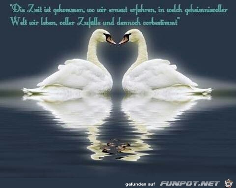 die zeit die zeit