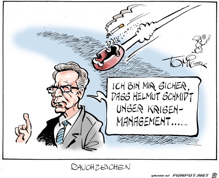 Krisenmanagement Helmut Schmidt