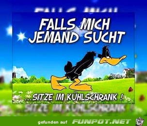 Falls mich jemand sucht Falls mich jemand sucht