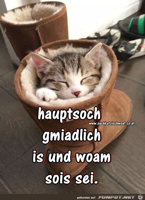 hauptsache gemuetlich ist es und warm