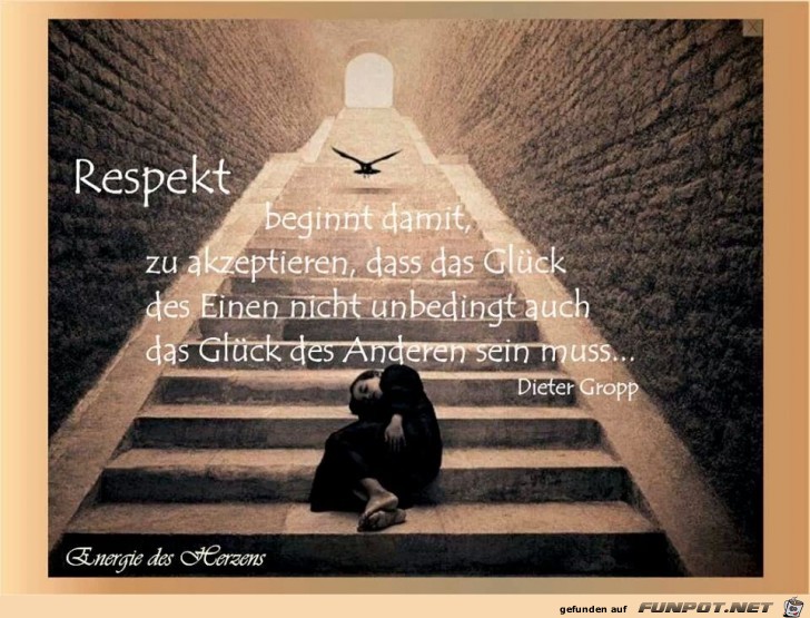 RESPEKT RESPEKT