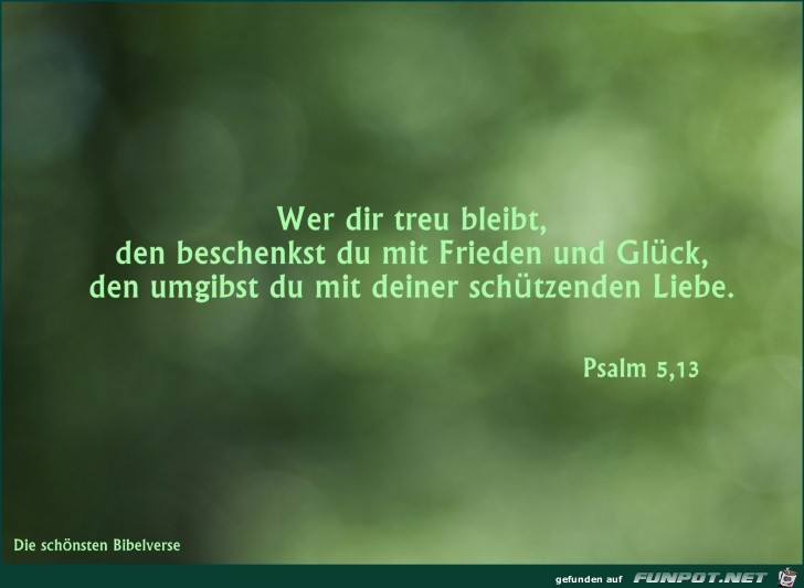 Psalm 5 13 Psalm 5 13