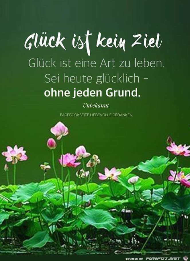 glueck ist kein ziel