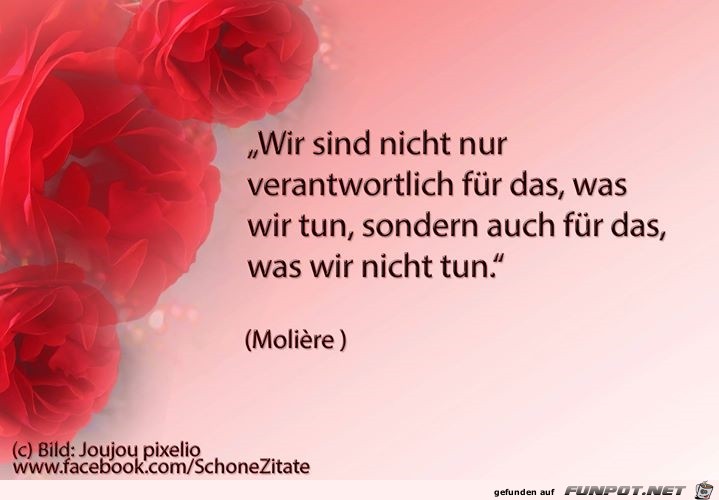 verantwortlich5 verantwortlich5