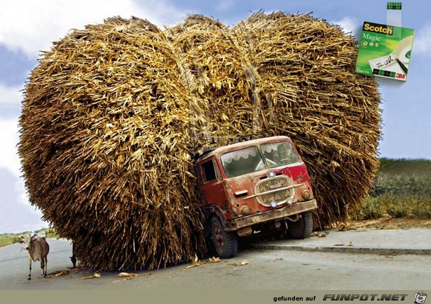 Overloaded Overloaded