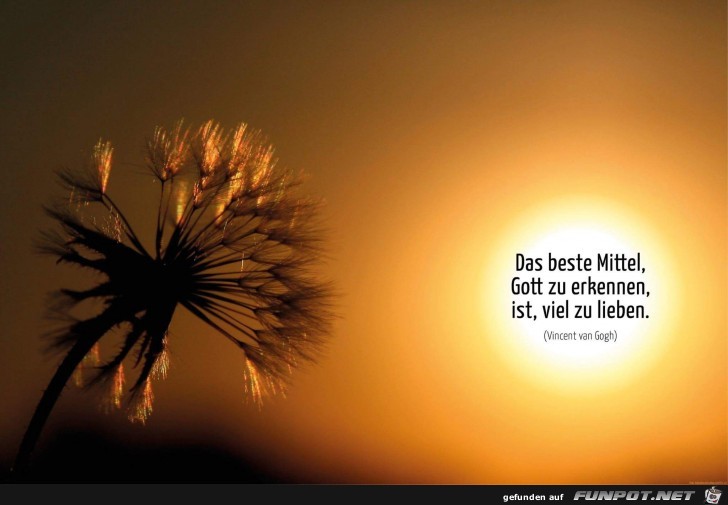 Das Beste Mittel Das Beste Mittel
