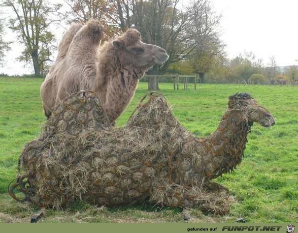 recycelten Hufeisen