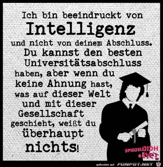 Intelligenz 01 Intelligenz 01