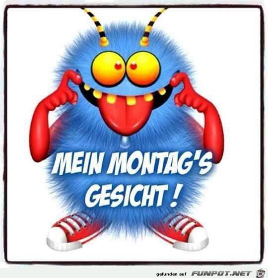 montagsgesicht montagsgesicht