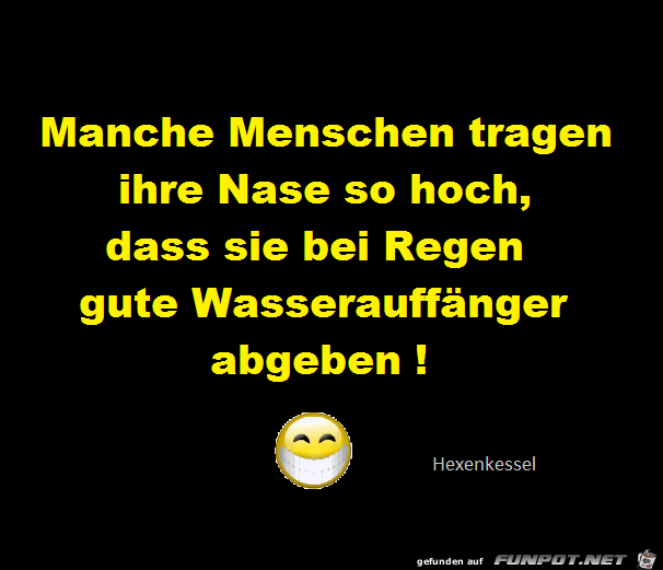 Manche Menschen 