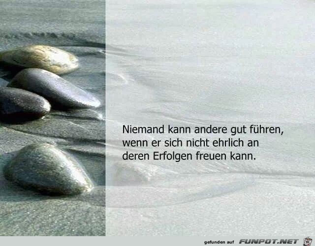 Niemand kann andere gut fhren...