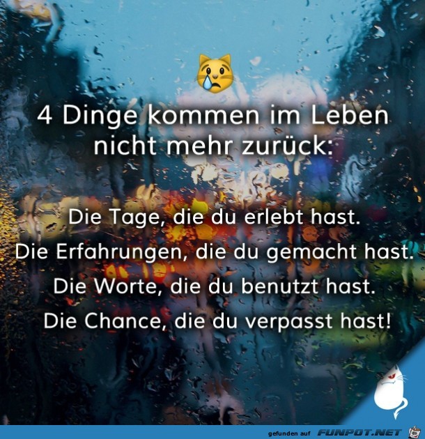 Vier Dinge Vier Dinge