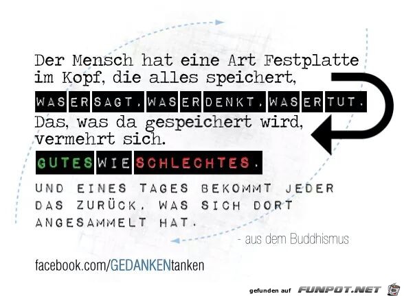 Festplatte Festplatte