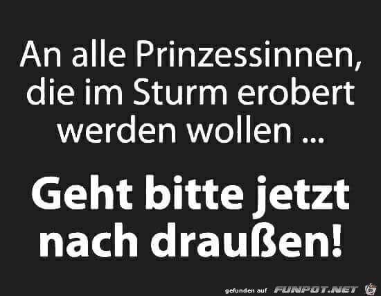 an alle Prinzessinen an alle Prinzessinen