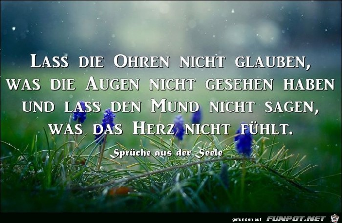 Ohren Ohren