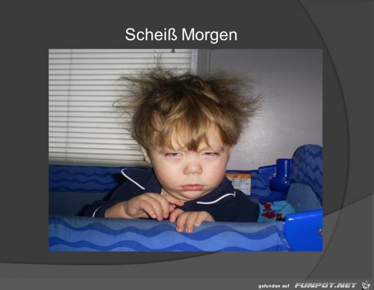 Morgenstimmung Morgenstimmung