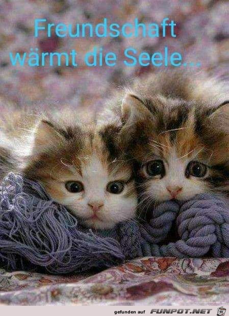 Freundschaft wärmt die Seele Freundschaft wärmt die Seele