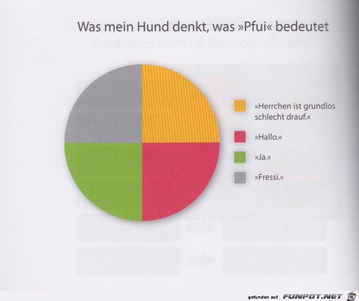 Statistikauswertungen, die man so noch nicht gesehen hat...