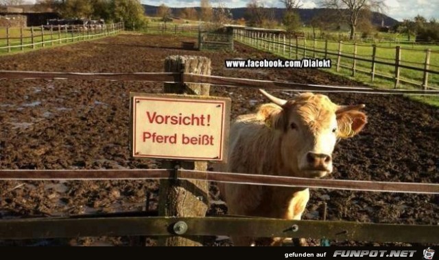 vorsicht 3 vorsicht 3