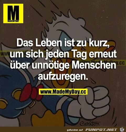 10 schne Sprche und Lebensweisheiten aus...