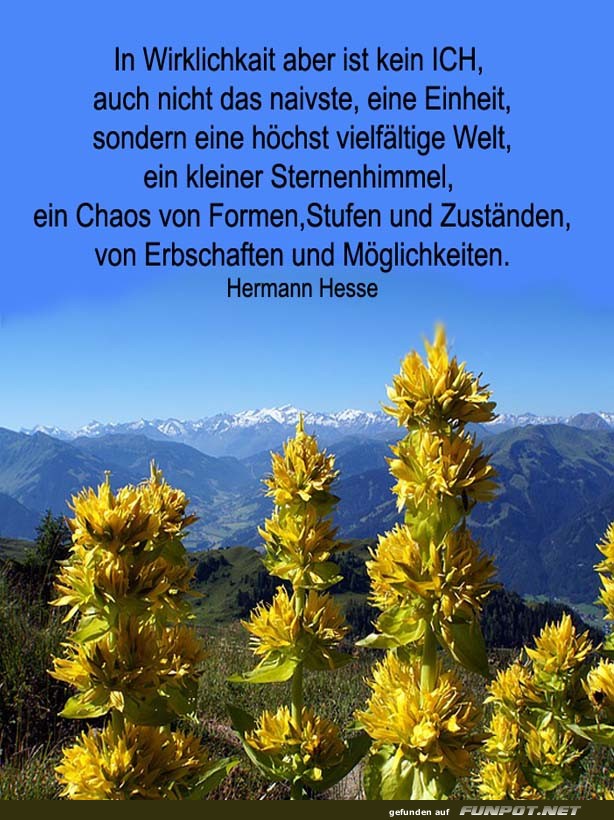 In Wirklichkeit In Wirklichkeit