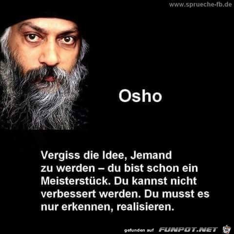 vergiss die Idee