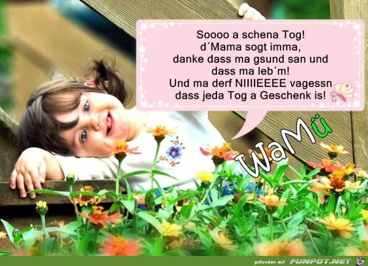 Scheena tag Scheena tag