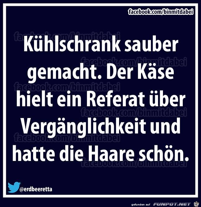 Der Käse Der Käse