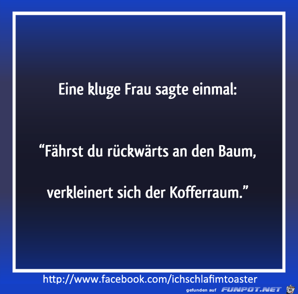 kluge Frau