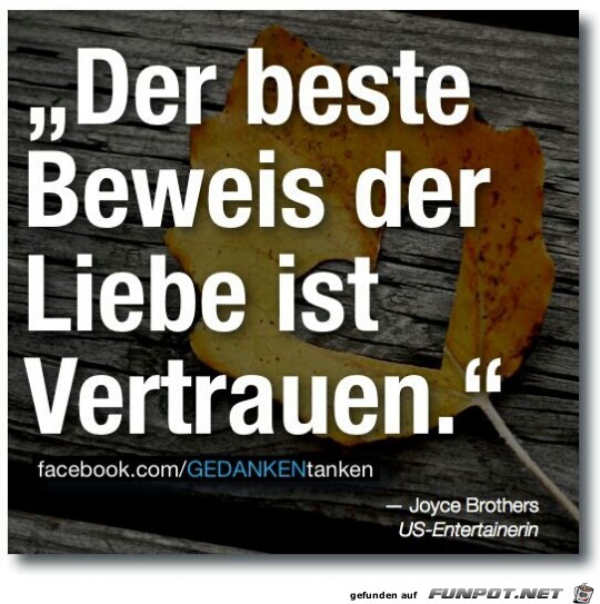 vertrauen vertrauen