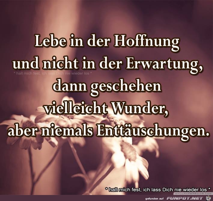 Hoffnung Hoffnung