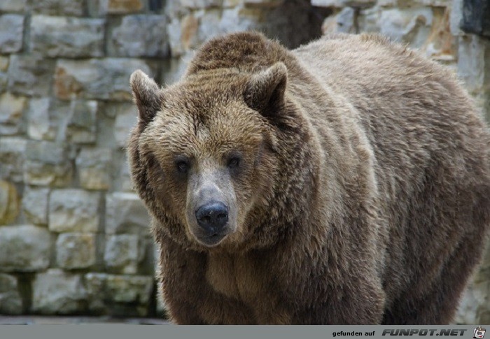 Schoene Tierbilder 18 Schoene Tierbilder 18