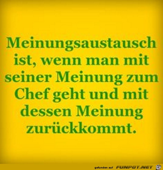 Meinungsaustausch Meinungsaustausch