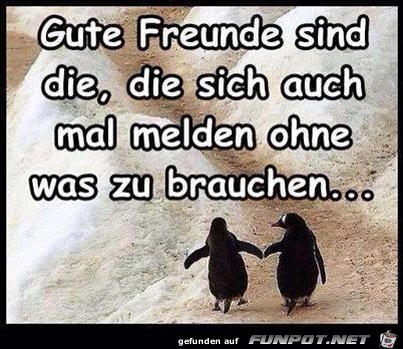 Gute Freunde sind die