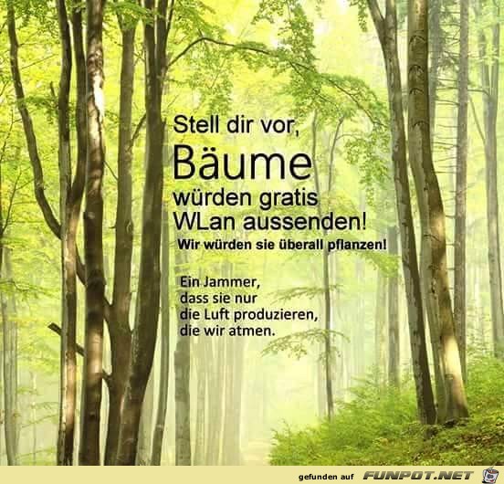 Baeume Baeume