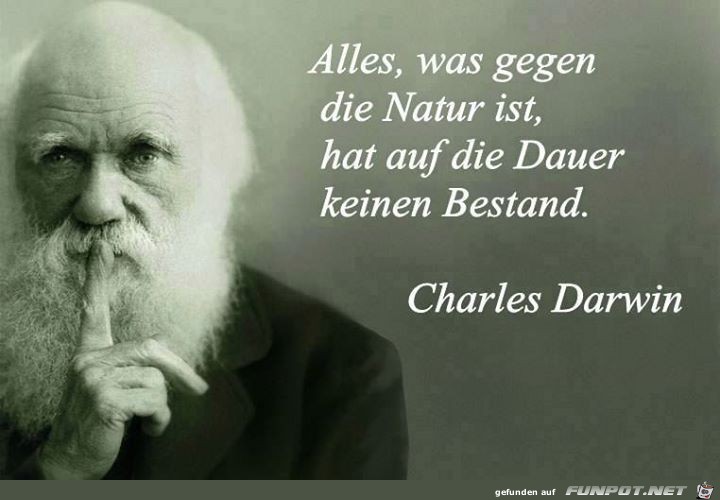 alles-was-gegen-die-natur-ist-hat-auf-dauer-keinen-bestand