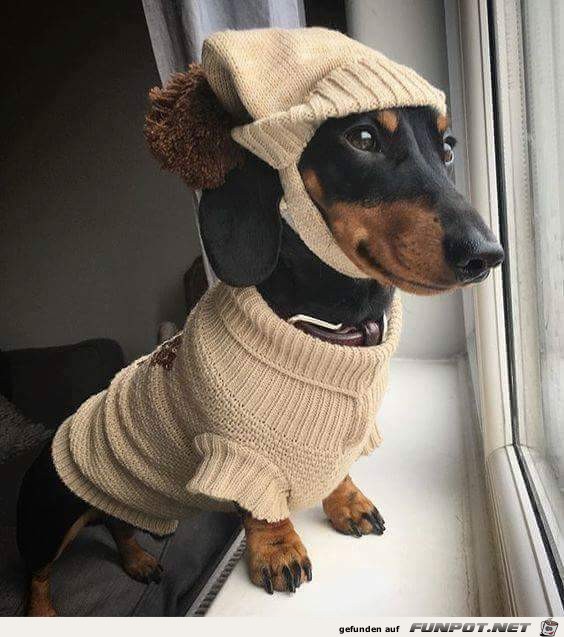 winterausruestung winterausruestung