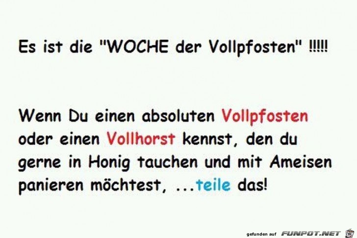 Vollpfosten