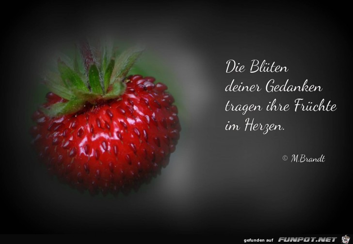 Fruechte Fruechte