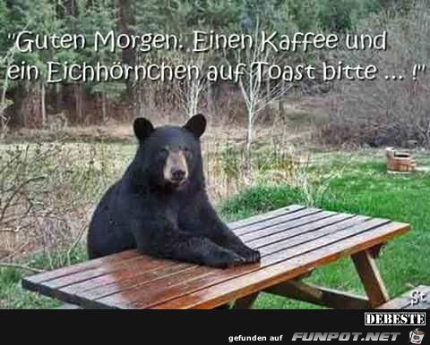 guten Morgen guten Morgen