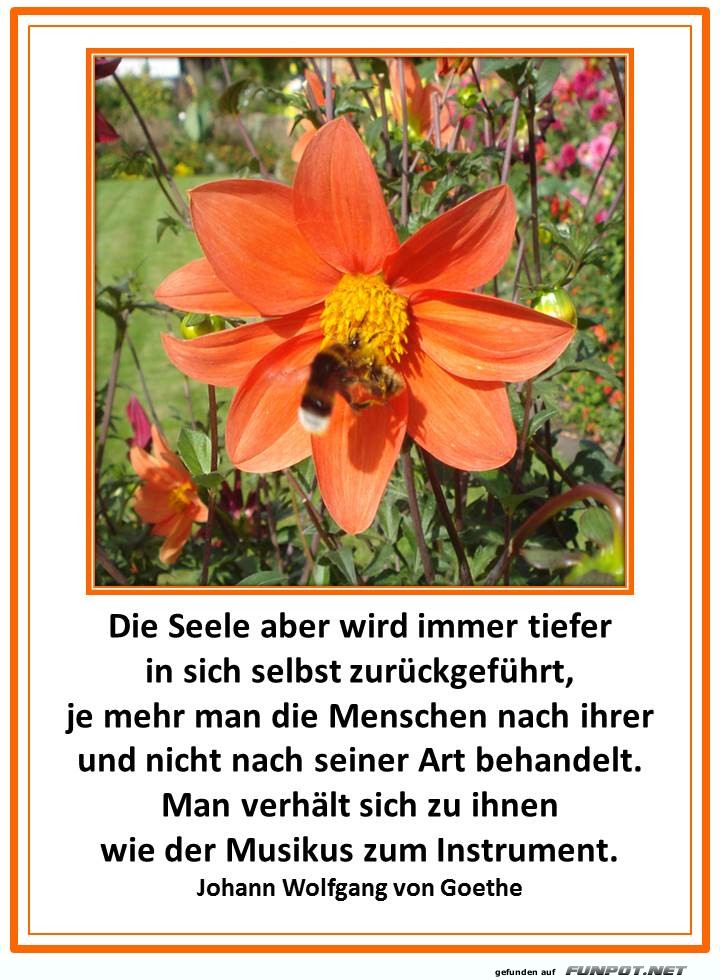Die Seele Die Seele