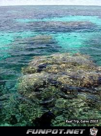 fuer Bildgenerator freigegeben 001055