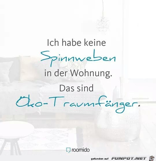 Spinnweben Spinnweben