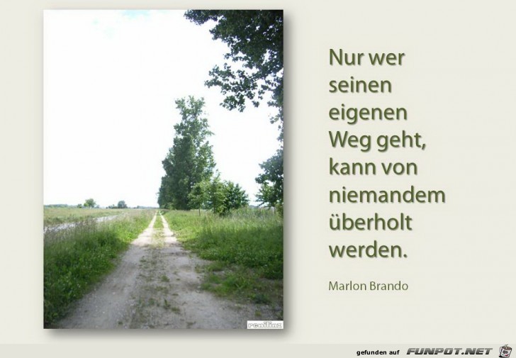 Nur wer seinen eigenen Weg Nur wer seinen eigenen Weg