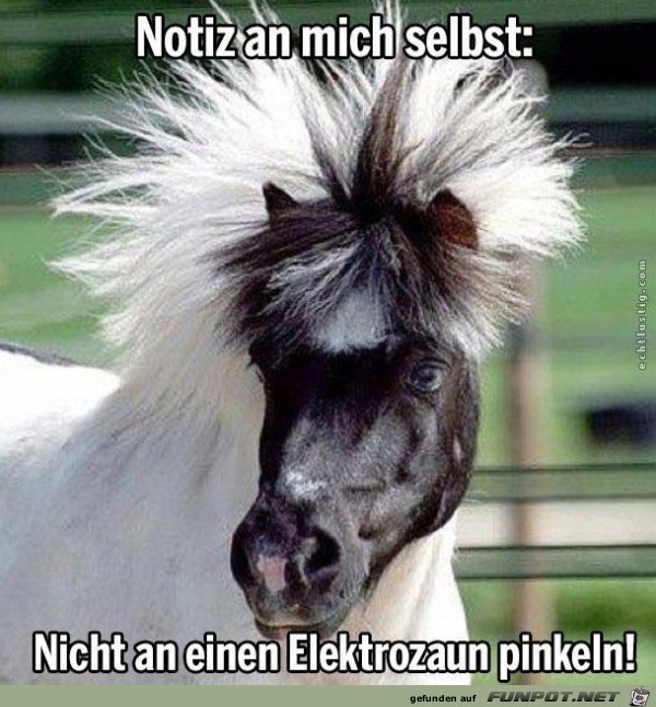 nicht-an-einen nicht-an-einen