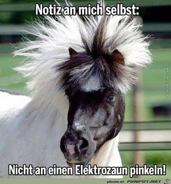 nicht-an-einen