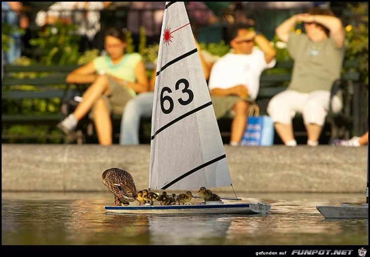 Sailing