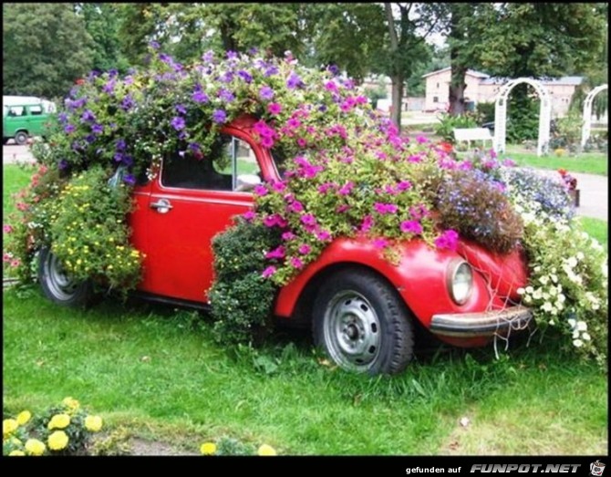 Gartenkaefer Gartenkaefer